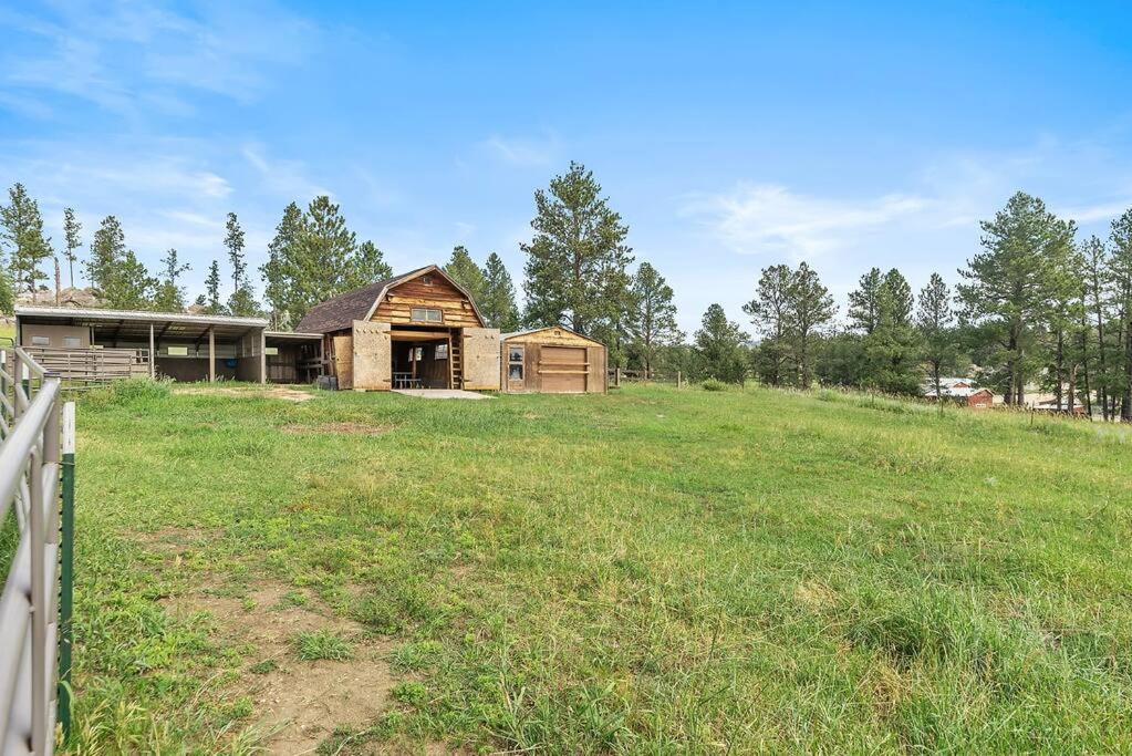 Papa'S Place On Willow Creek Custer Kültér fotó