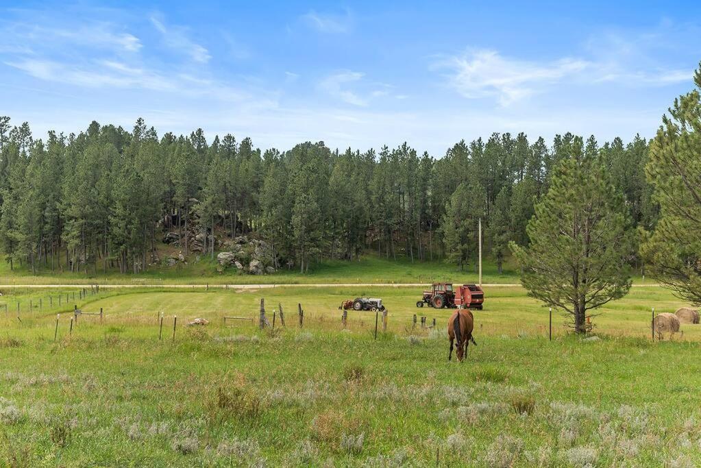 Papa'S Place On Willow Creek Custer Kültér fotó